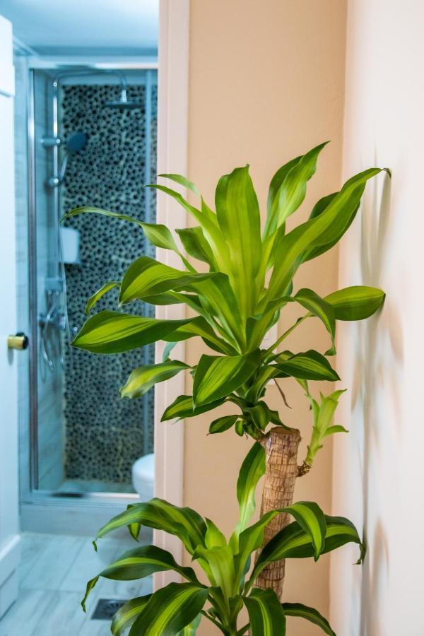 Gorgona Blue Apartments كارباثوس المظهر الخارجي الصورة